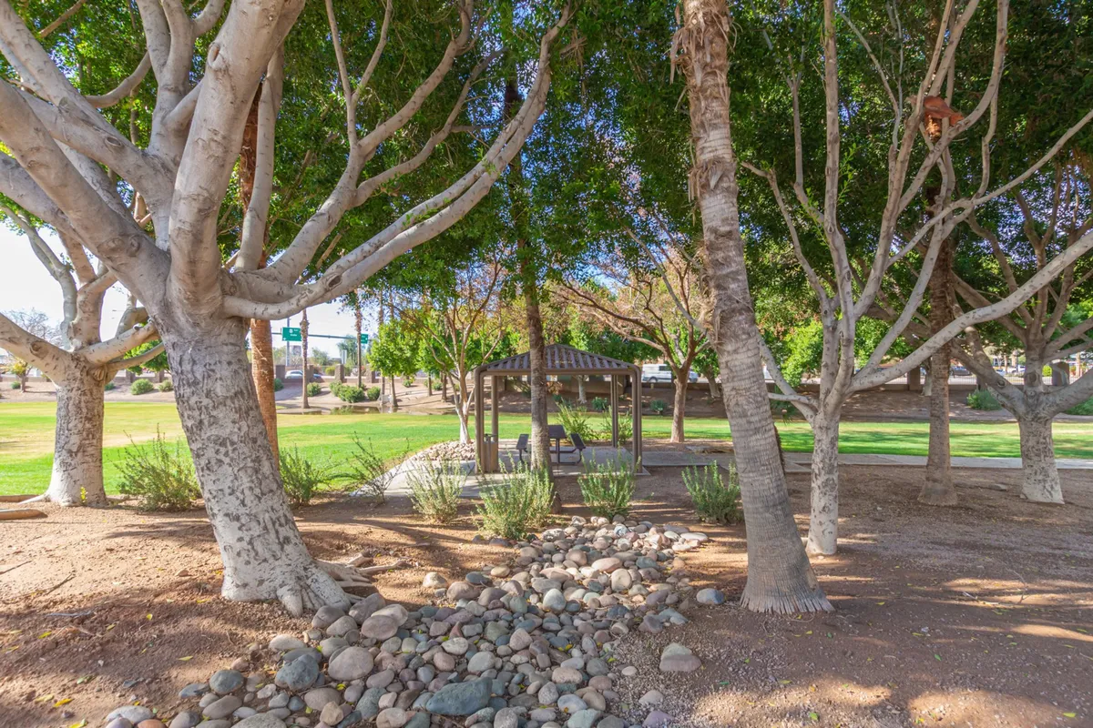 The image presents a peaceful landscaped area featuring large trees and a gazebo, inviting residents to relax, enjoy picnics, or watch the sunset. The open space and greenery create a sense of leisure and community.