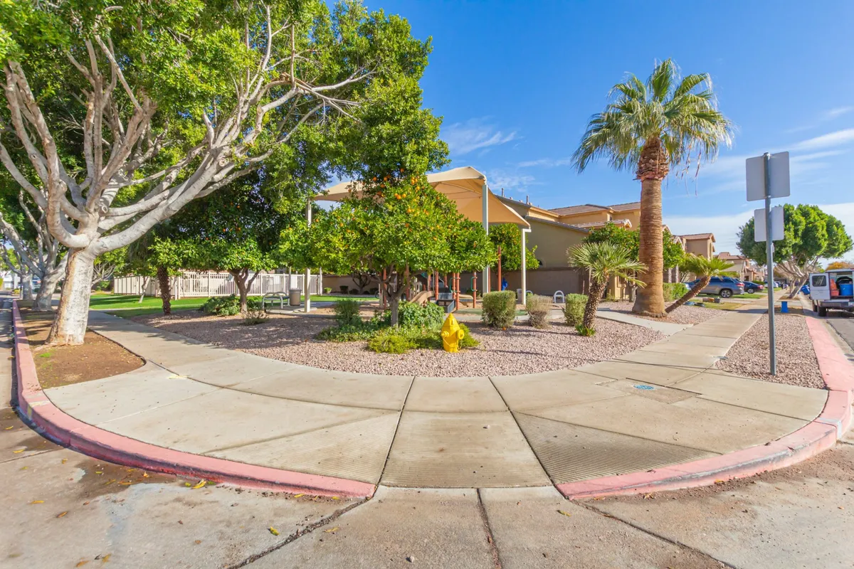 This image showcases a lush, tree-lined exterior with palm trees, landscaped gardens, and inviting sidewalks. The scene conveys a sense of tranquility and community, with welcoming green spaces perfect for relaxing or taking a stroll.
